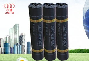 天津防水材料市場概述 類型、應用與選購指南