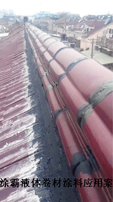 江蘇徐州液體卷材價格與水池防水材料應用解析