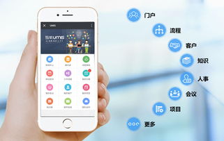 上海互聯(lián)網(wǎng)軟件集團(tuán) 高端協(xié)同管理軟件與安全服務(wù)解決方案